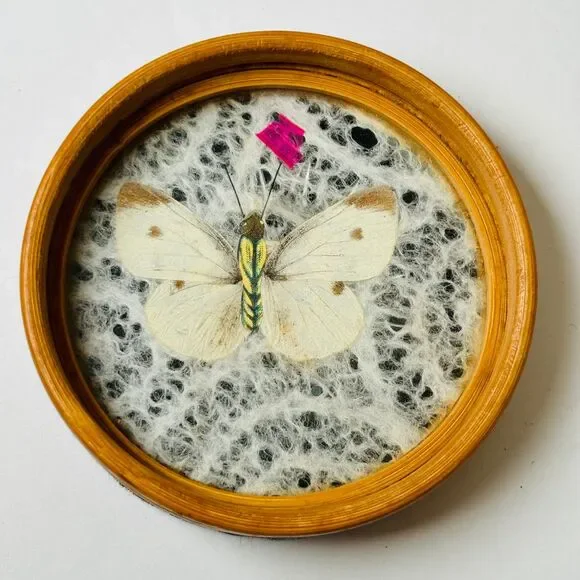 Set 6 Vintage Wood Coasters Pressed Butterflies 1970s Boho Wicker Rattan‎ - Picture 13 of 13